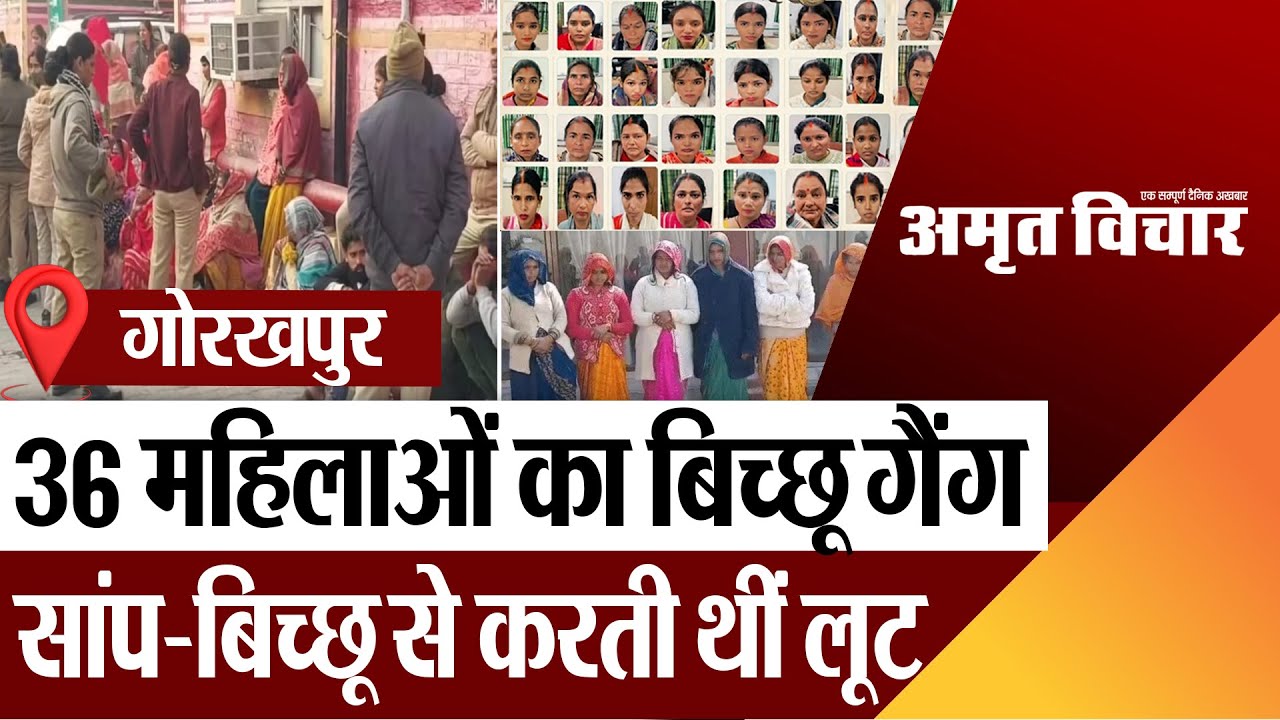 Gorakhpur News | गोरखपुर में महिलाओं का बिच्छू गैंग, सांप-बिच्छू दिखाकर करती थीं लूट, 40 गिरफ्तार