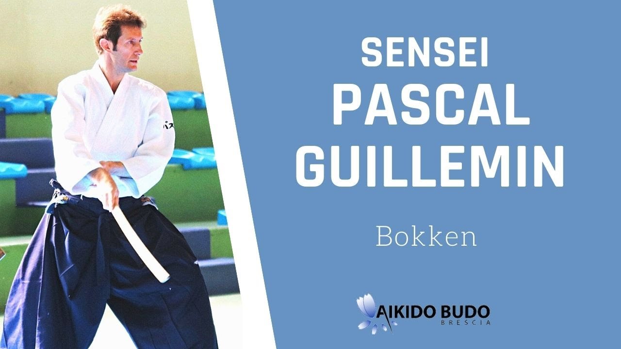 Pascal Guillemin: seminar in Brescia-bokken lesson