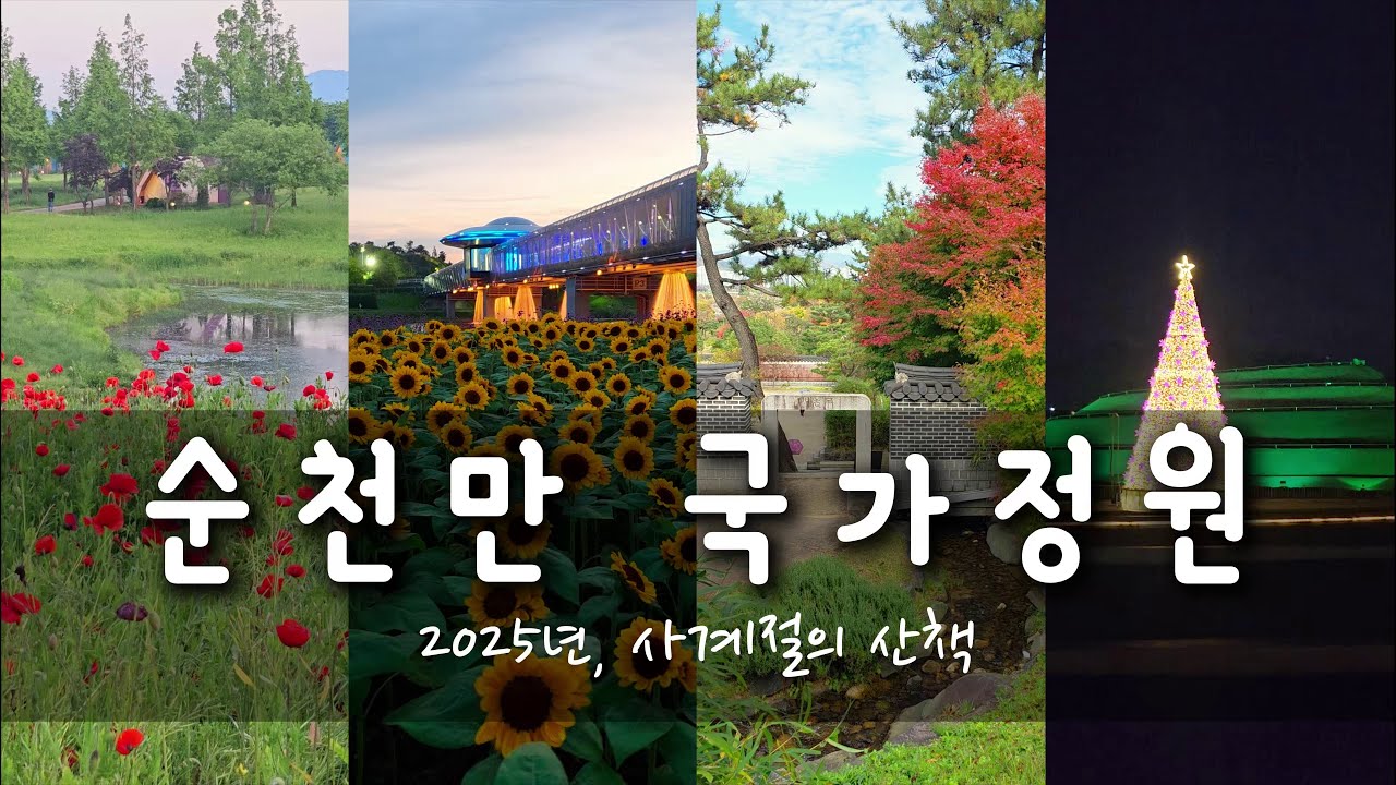 순천만 국가정원. 서포터즈로 함께한 사계절 산책 (2025년)