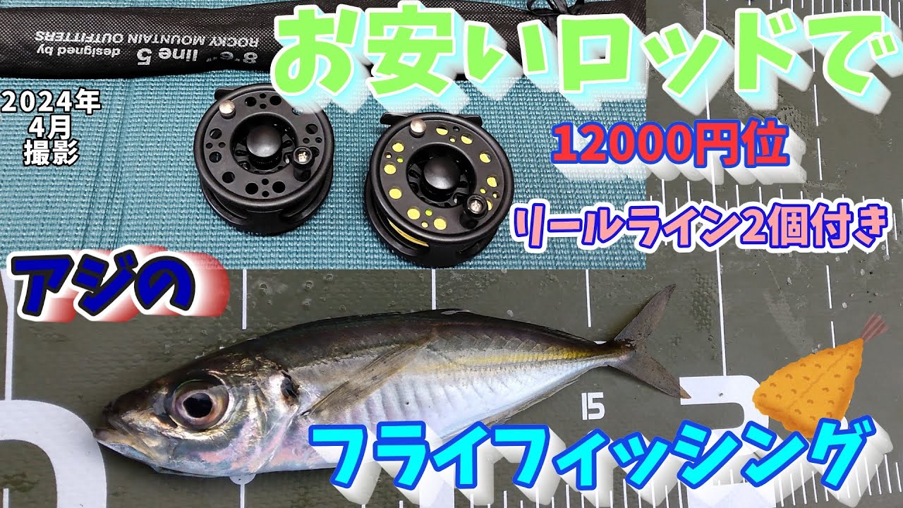 お安いロッドでアジのフライフィッシングの動画【実釣動画】