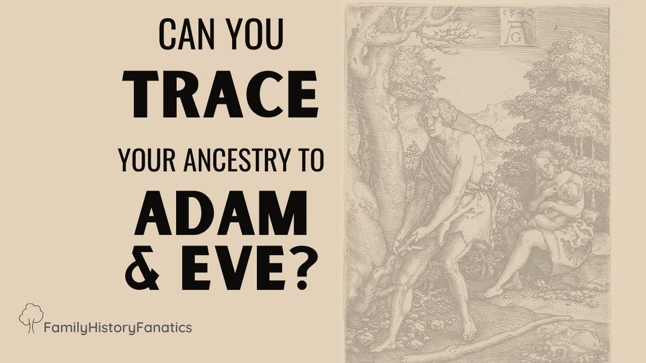 Can You Trace Your Ancestry to Adam?