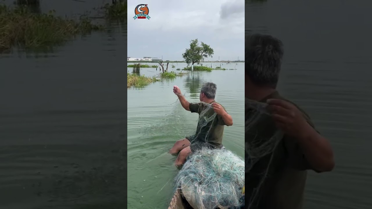 Fresh catch from river #fishing #rural #fish #river #lifestyle #natural #net 
