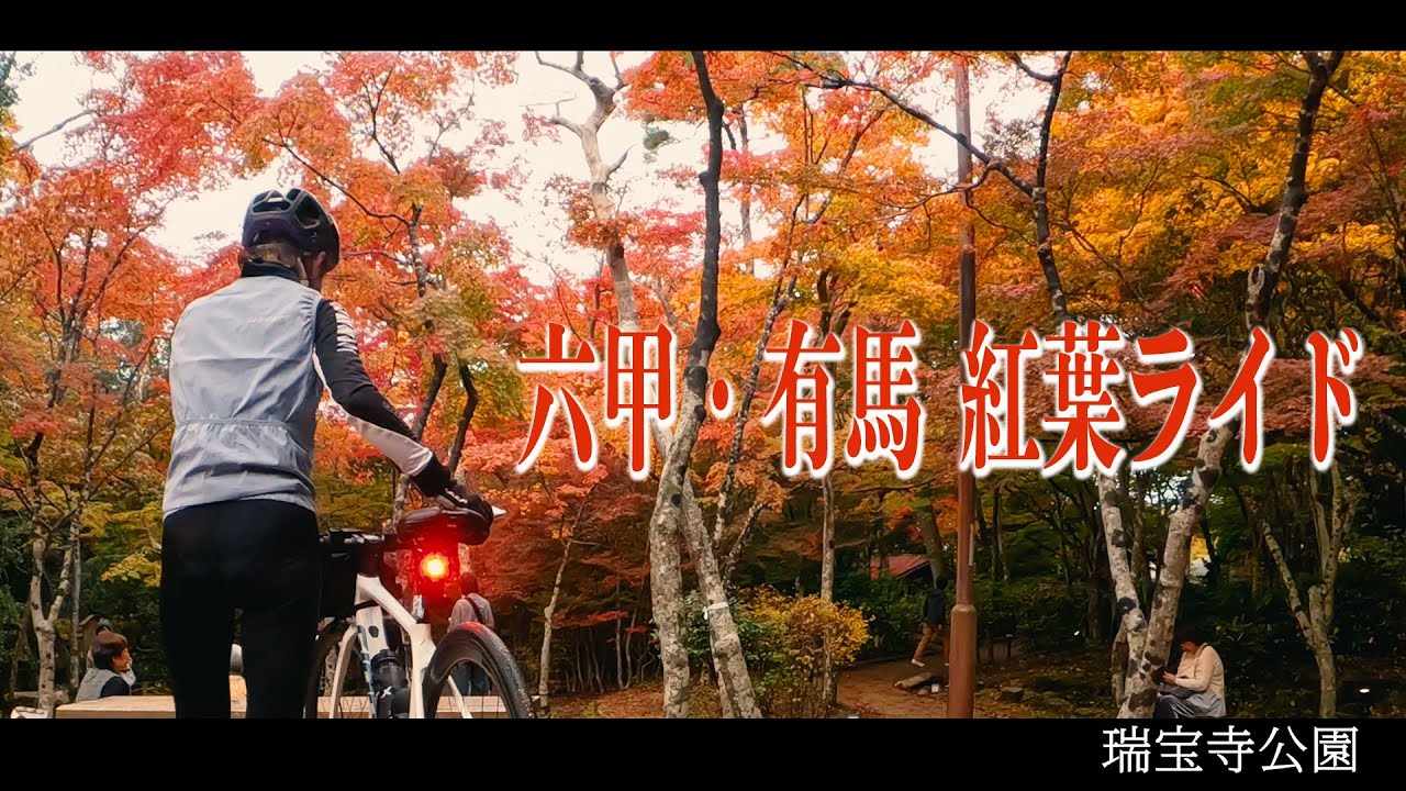 [Влог о шоссейном велосипеде] Поездка Rokko-Arima Autumn Leaves 2024
