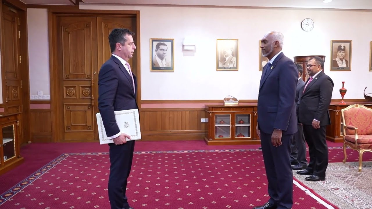 The Ambassador of Georgia presents credentials to the President