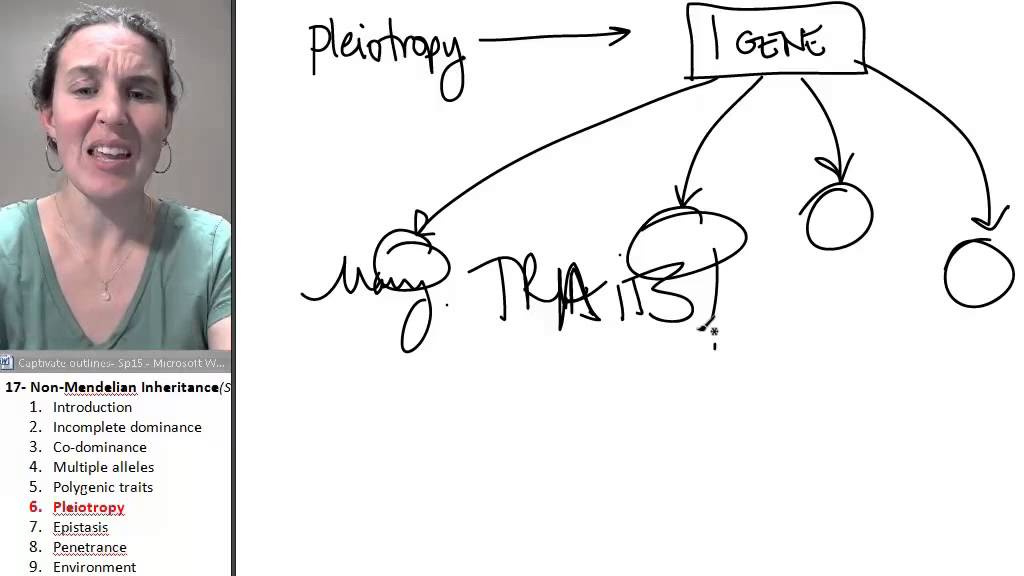 Non mendelian inheritance 6- Pleiotropy