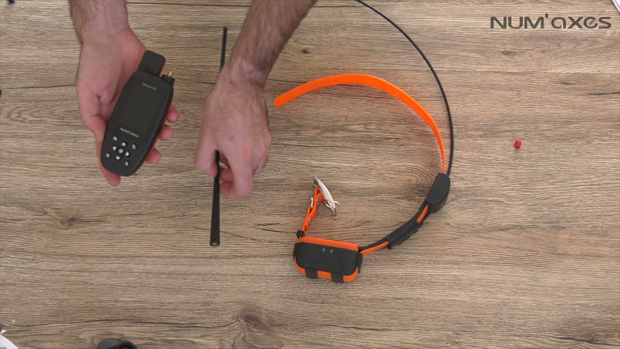 CANICOM GPS : mise en route de votre ensemble et comment ajouter des colliers