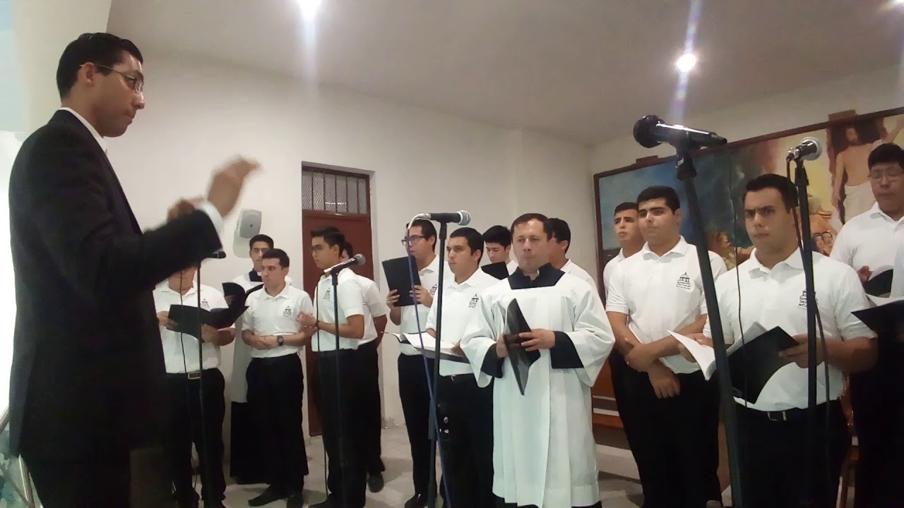 Cordero de Dios. Marco Frisina en Español