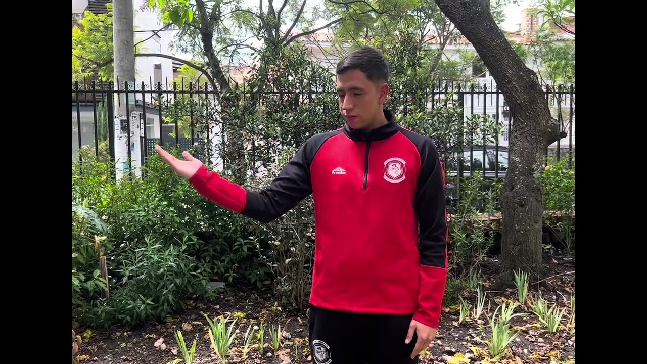 Josué Siguencia Señales Arbitrales Voleibol