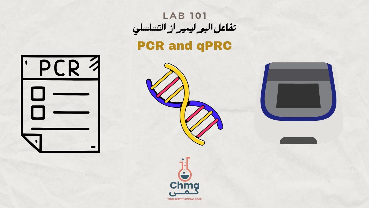 شرح تقنية البي سي ار PCR and RT PCR