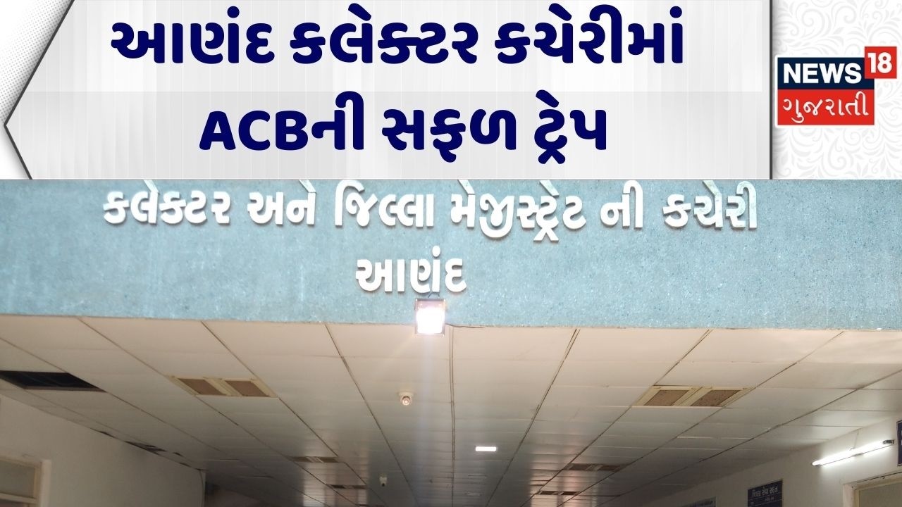Anand News |આણંદ કલેક્ટર કચેરીમાં ACBની સફળ ટ્રેપ | Collector Office |Gujarati News|News 18 Gujarati