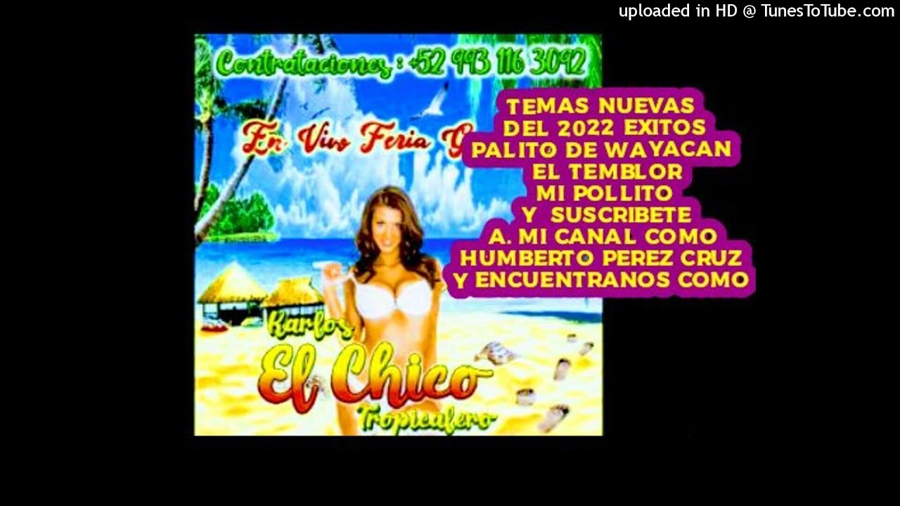 Carlos el chico tropicalero palito de wayacan