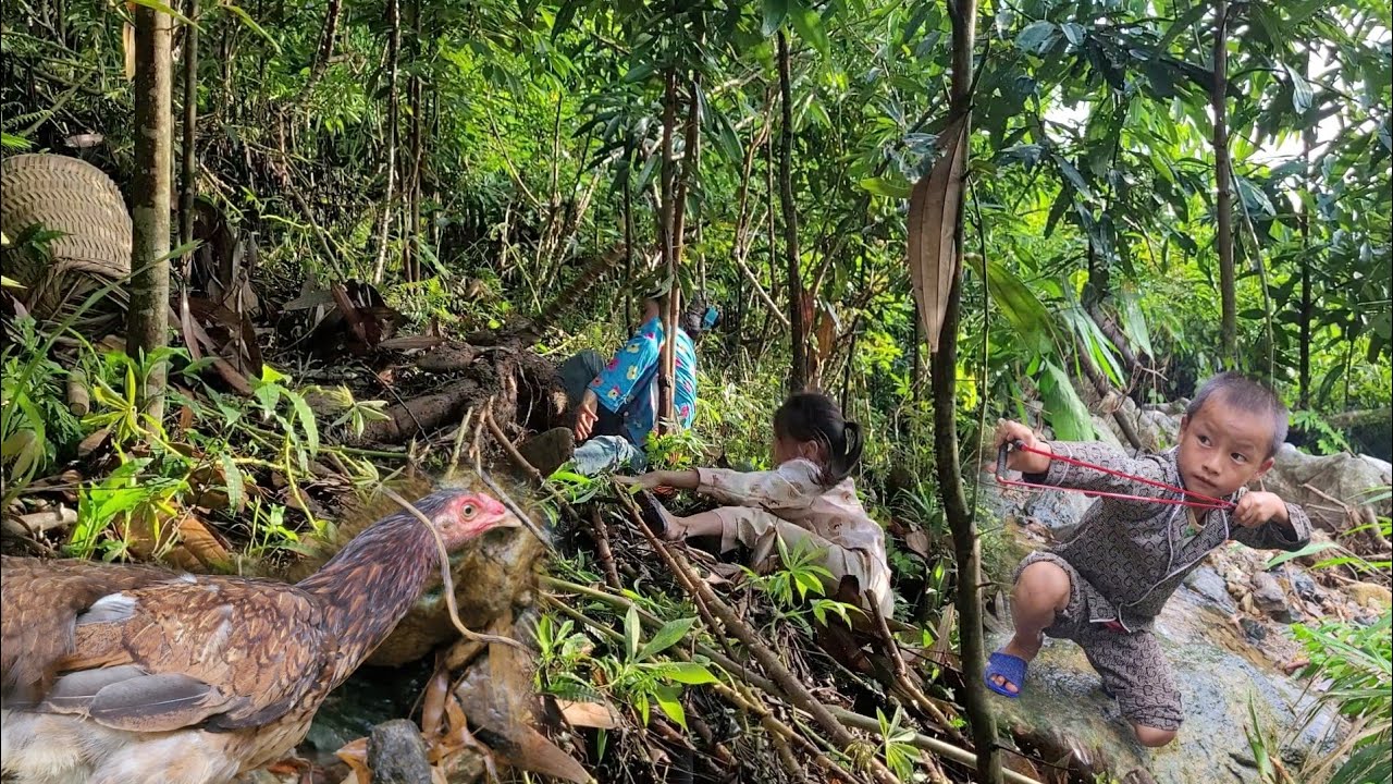 digging cassava and chopping banana flowers, meeting a wild chicken and the ending