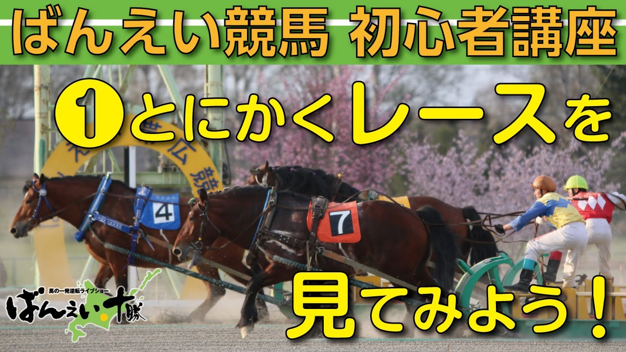 【ばんえい初心者講座#1】まずはとにかく、ばんえい競馬のレースを見てみよう