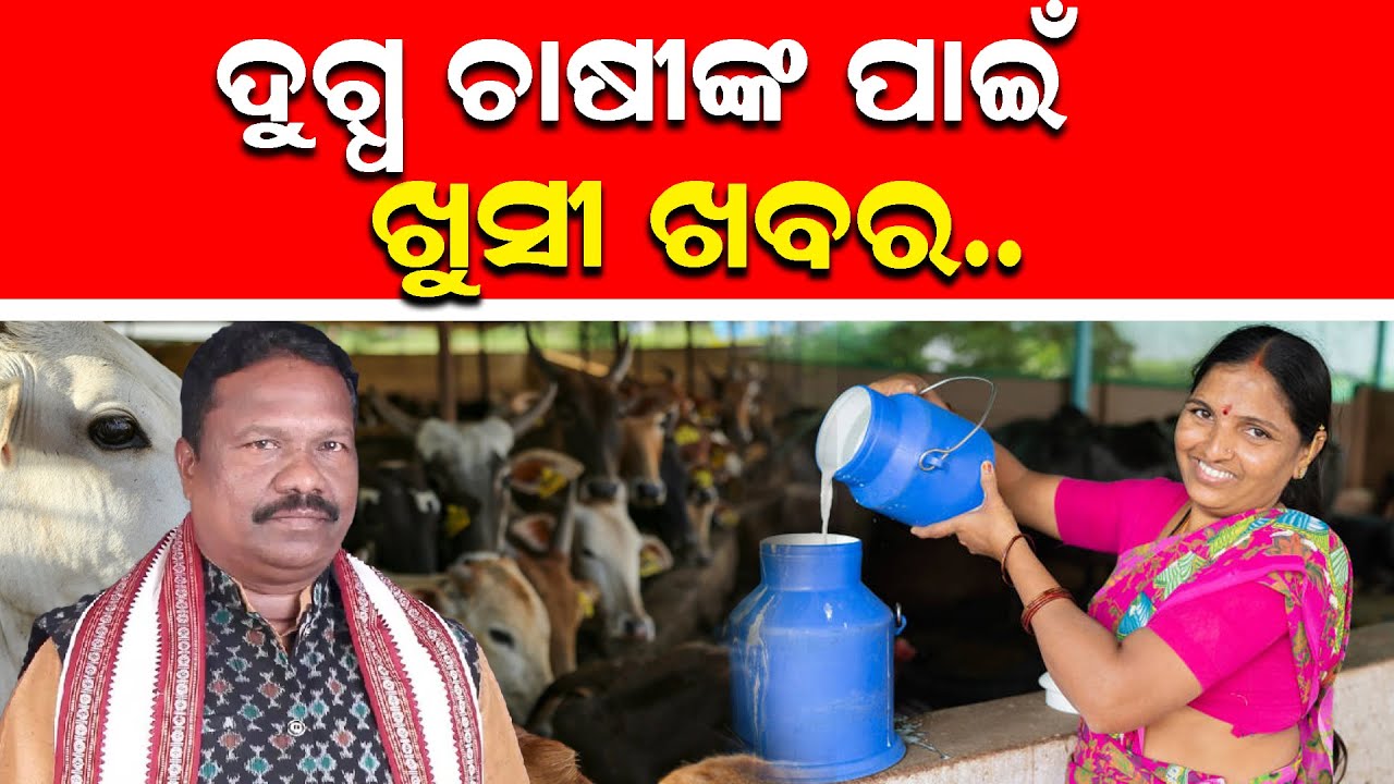 Big Boost For Dairy Farmers | OMFED Milk Price Hiked | ₹3 Extra Per Litre For Producers
