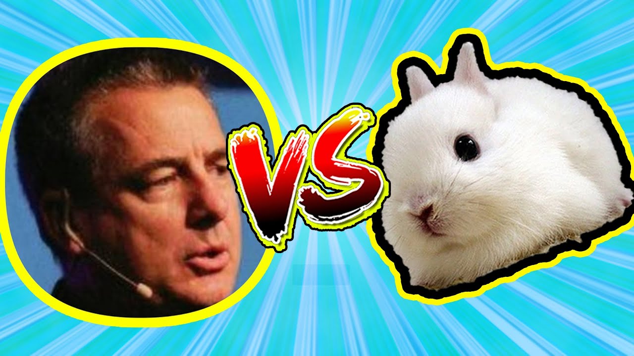 Tom Rabbittt vs Matt Slick on evolution (ERVs)