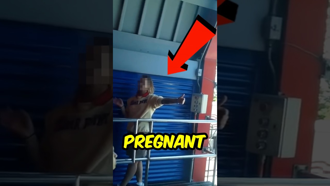 Arrested For Smuggling Her Baby On A Rollercoaster