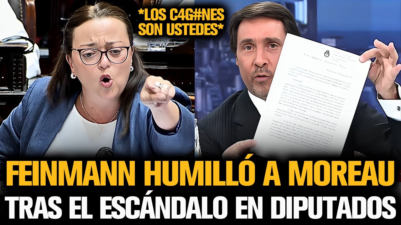 FEINMANN HUMILLÓ A MOREAU TRAS EL ESCÁNDALO EN DIPUTADOS POR ESPERT