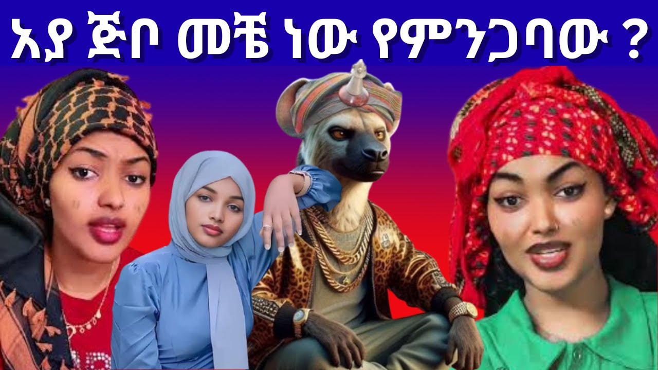 አያ ጅቦ  VS Zuzu
