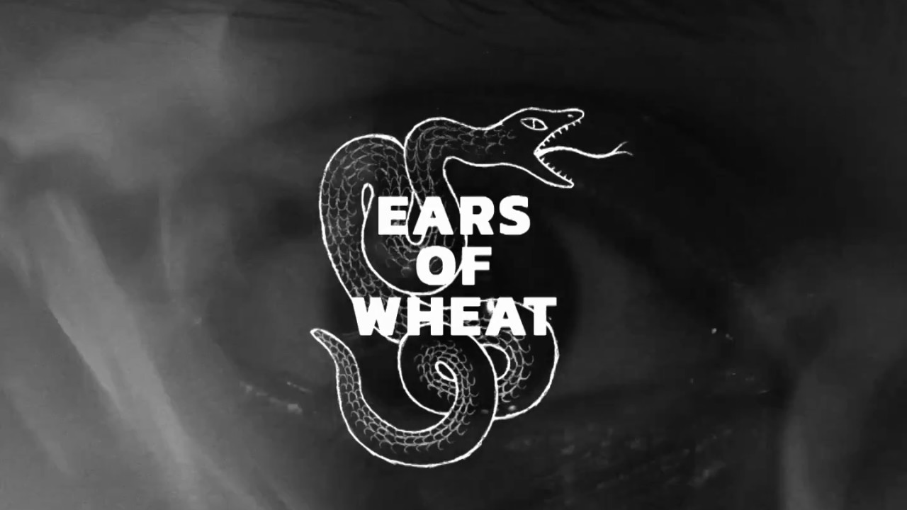 Berriloom and the Doom &ndash; Ears of Wheat