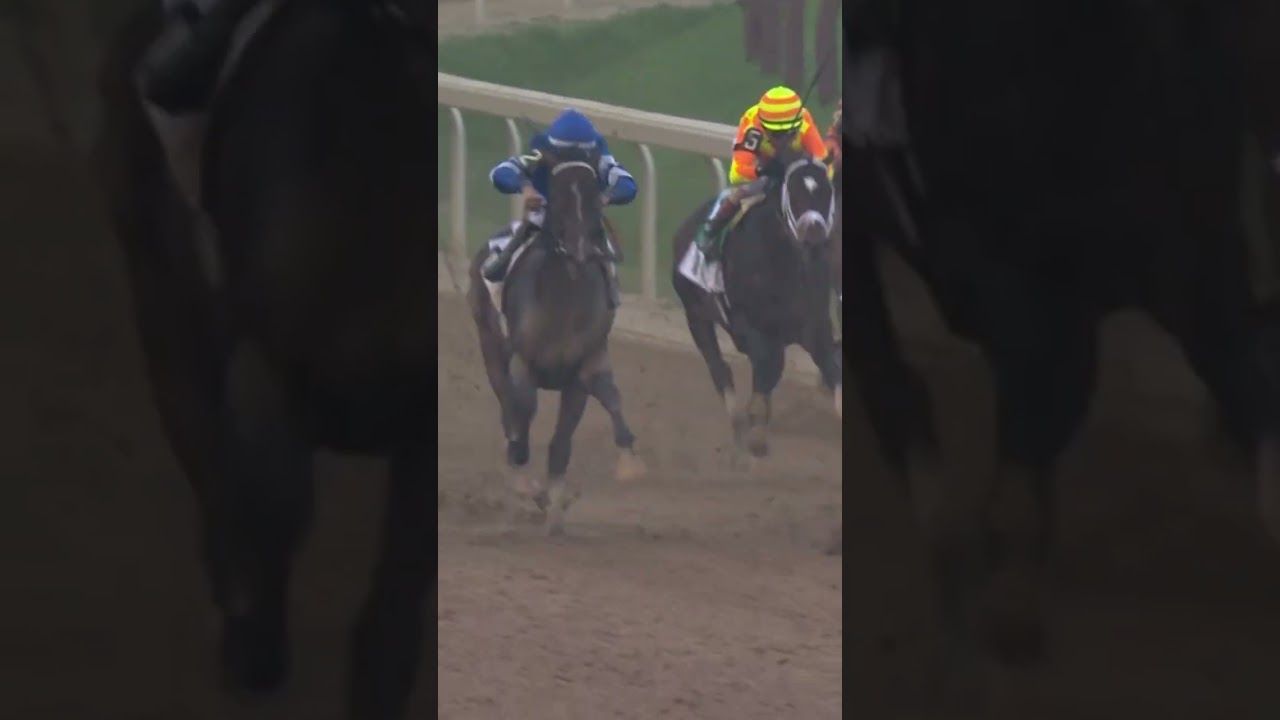 SOVEREIGNTY in Splendid Isolation in the Belmont Stakes… 👑