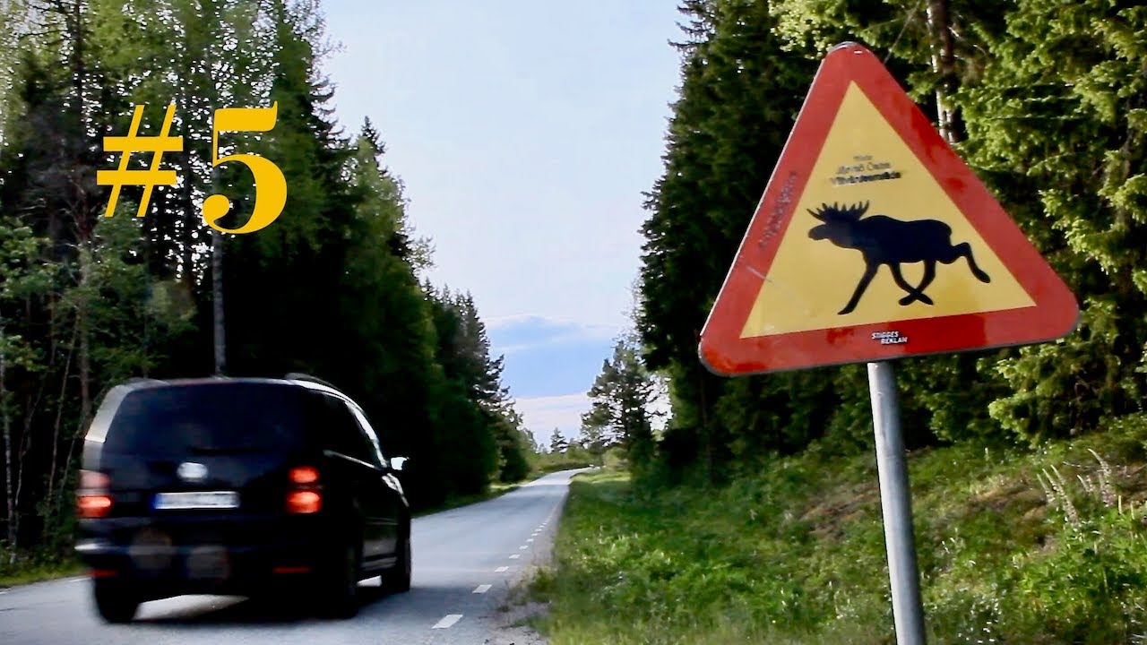 Zurück auf der Straße nach Norden - #5