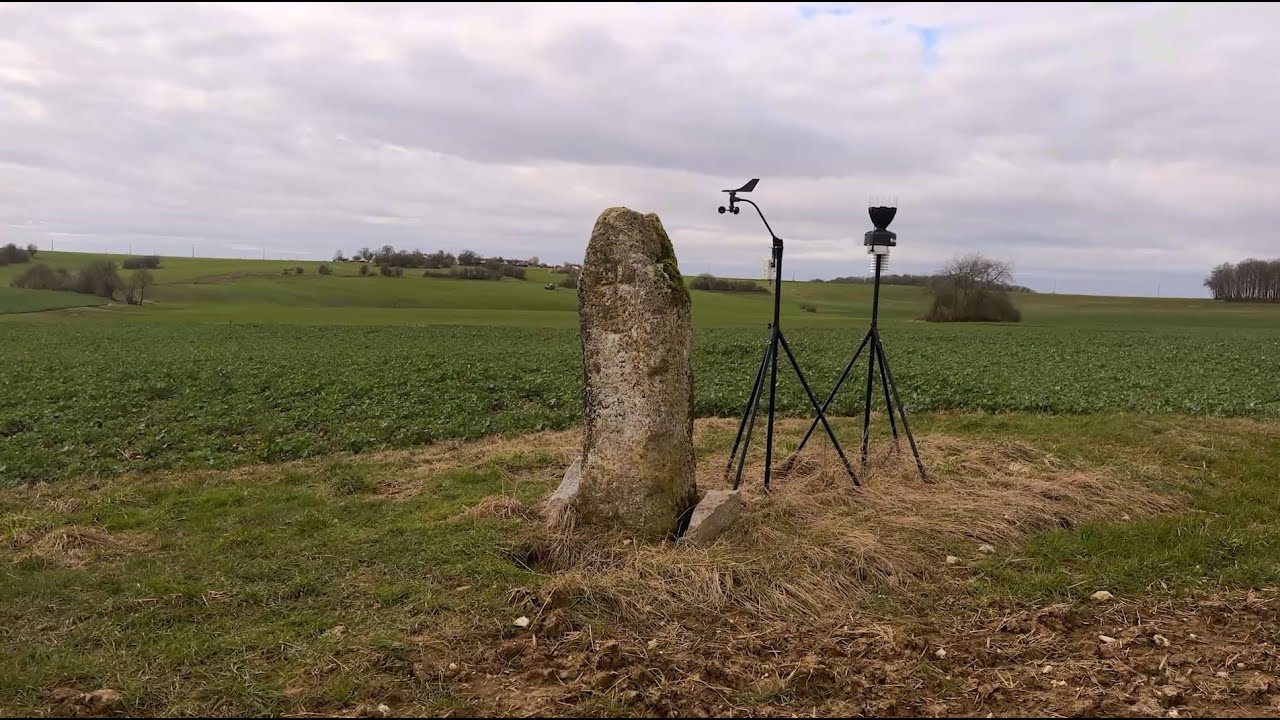 Menhirs : les vestiges de l&rsquo;histoire meusienne