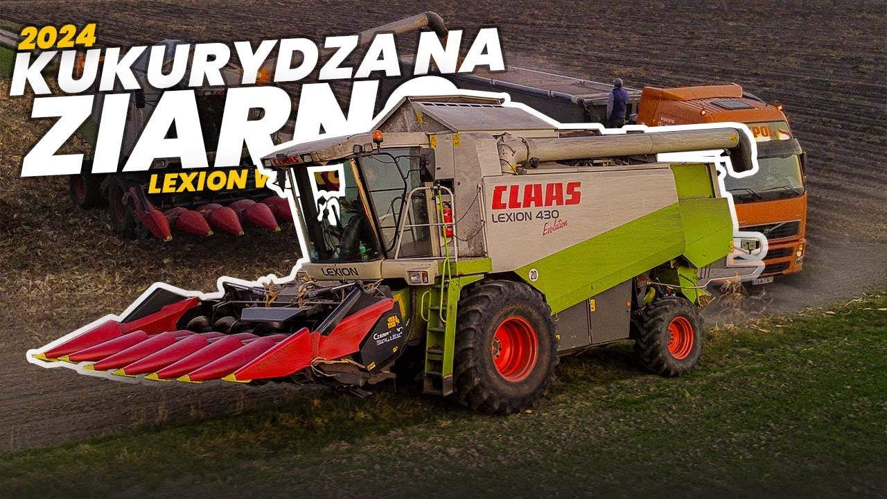 Lexion vs 130 ha✓Kukurydza na ziarno 2024✓RomaxAgro✓JakPol✓Claas Lexion 430✓Geringhoff✓Volvo✓Scania