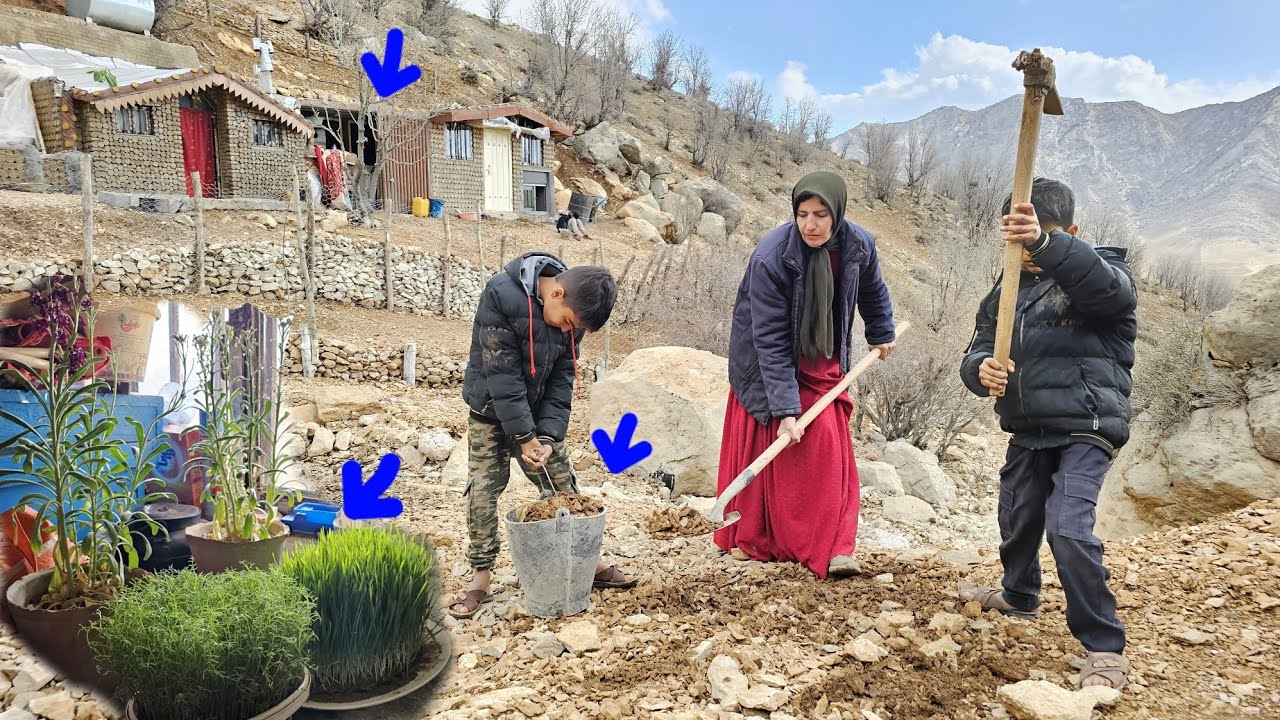 Survival and Resilience | A Mother&rsquo;s Tireless Life in the Mountain Shelter! 🌧️💪