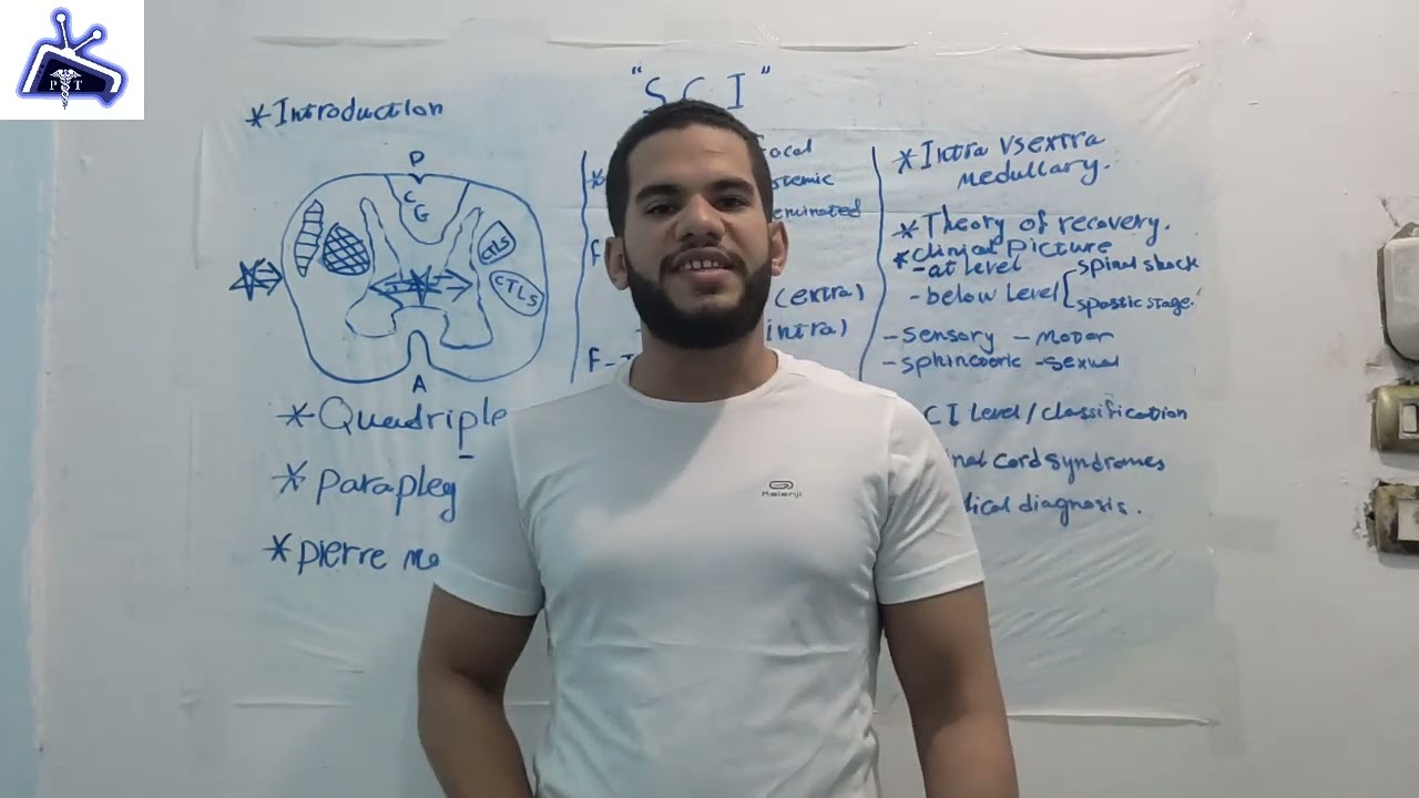 Spinal Cord Injury (SCI) شرح