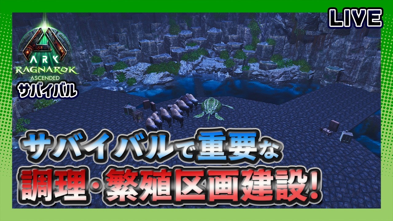 【ASA:Ragnarok】サバイバルで超重要な｢調理･繁殖区画建築開始！｣常設スト鯖サバイバル【非公式PVE】【LIVE】