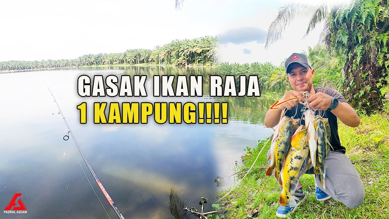TEKNIK mudah memancing IKAN RAJA @ Peacock Bass | Carolina Rig modified