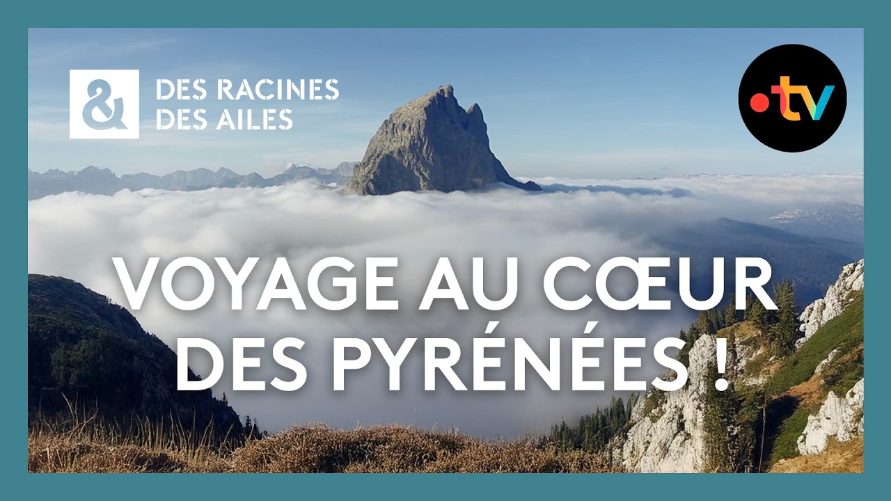 Voyage au cœur des Pyrénées : Entre nature, patrimoine et traditions ! - Des racines et des ailes