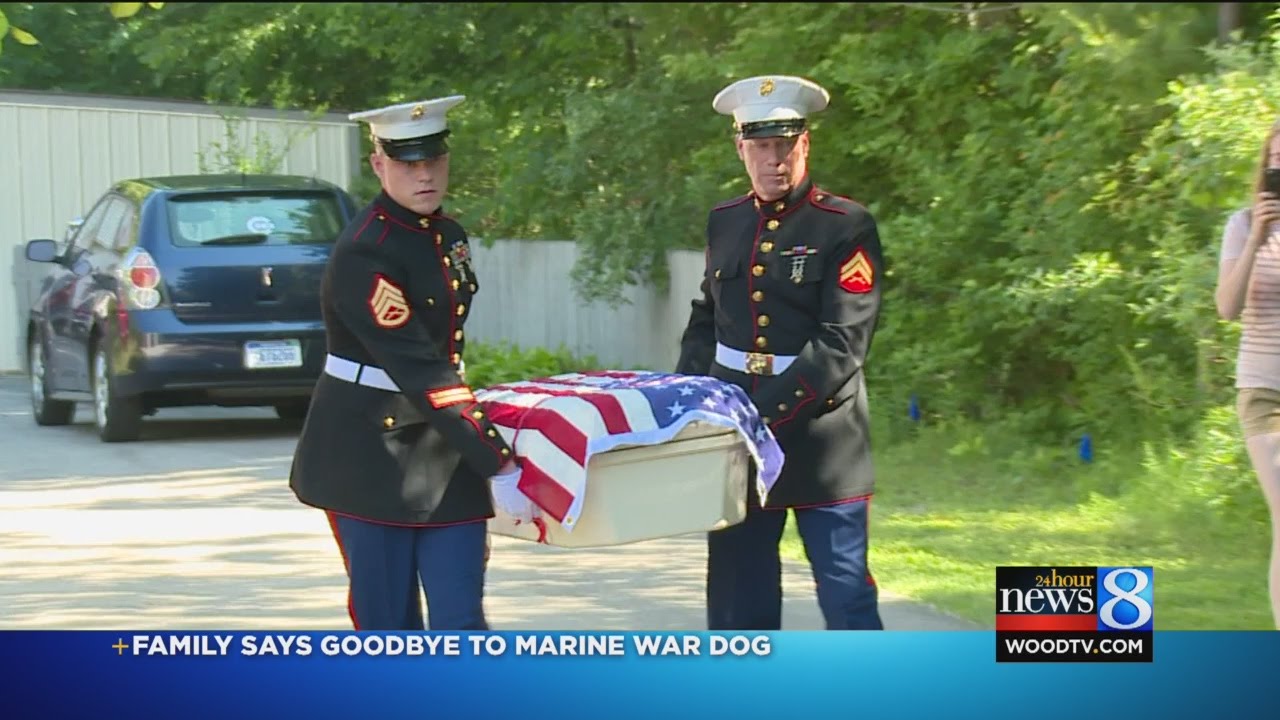 Family says goodbye to Marine war dog