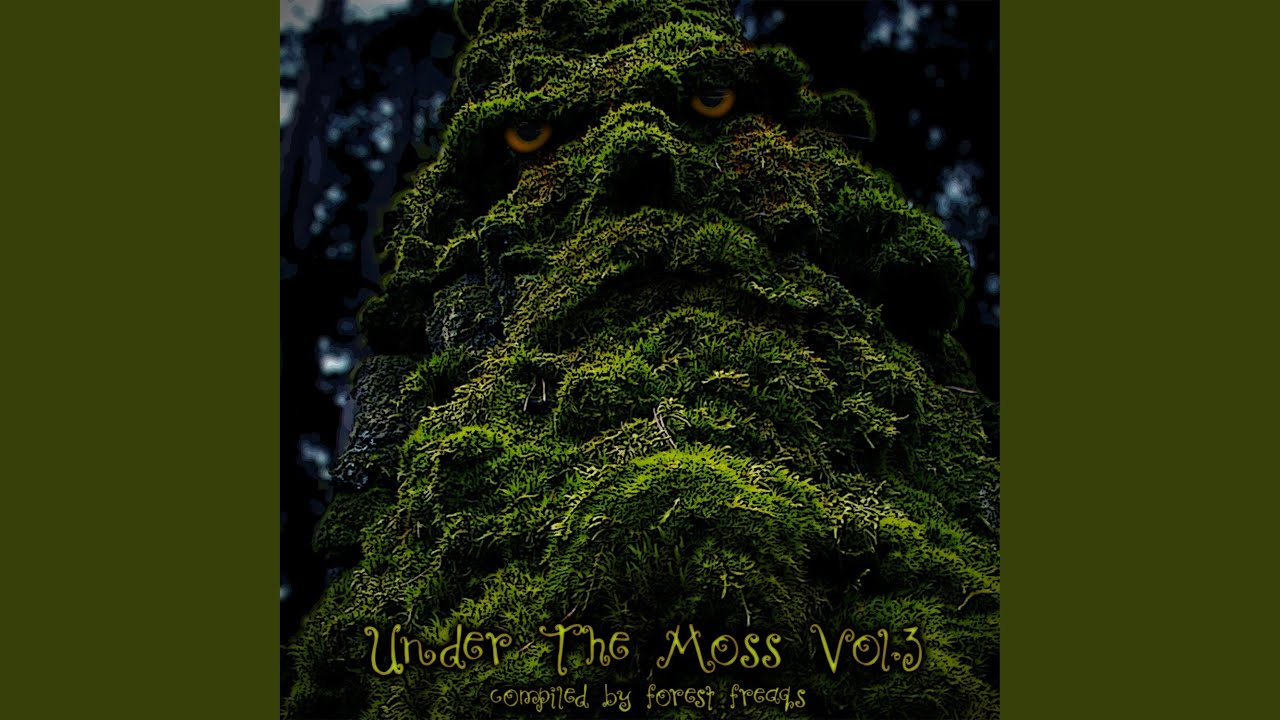 Moss Party