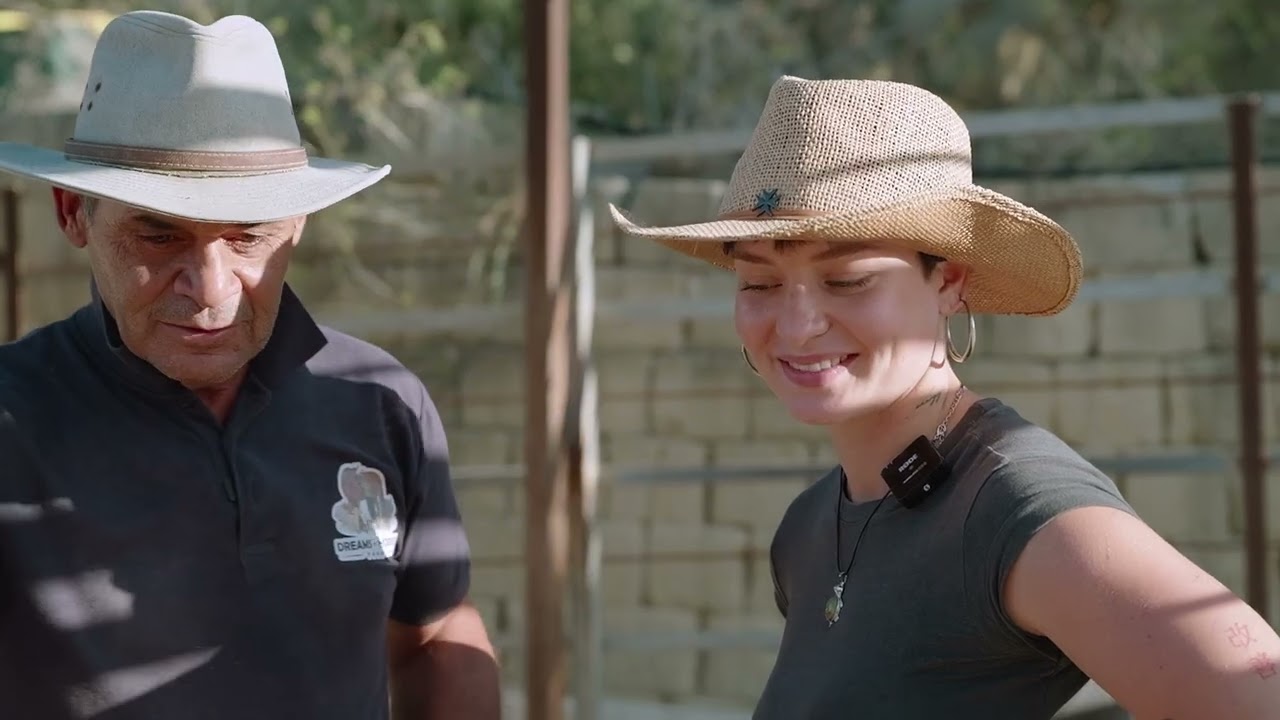 Lil Ċensu ma tridx tarah kif kien qabel