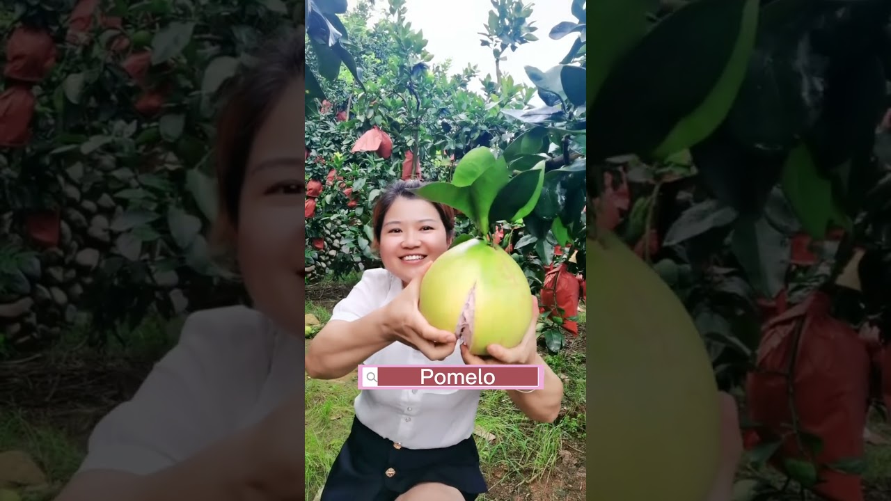 Pomelo Fruit #satisfying #short