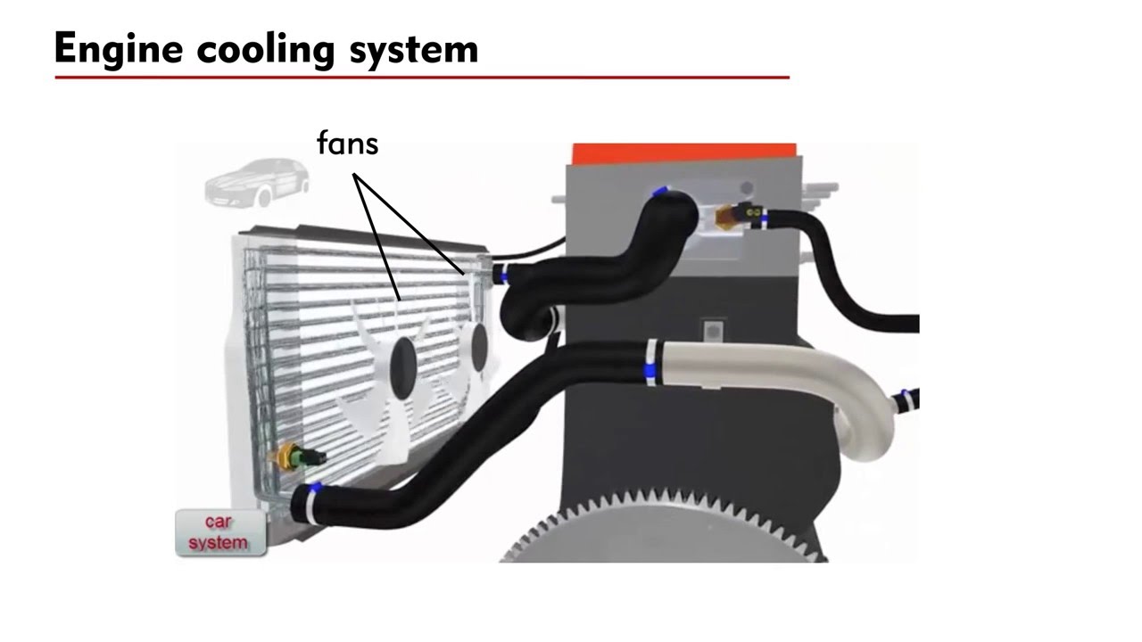 The Importance of the high specific heat capacity of water