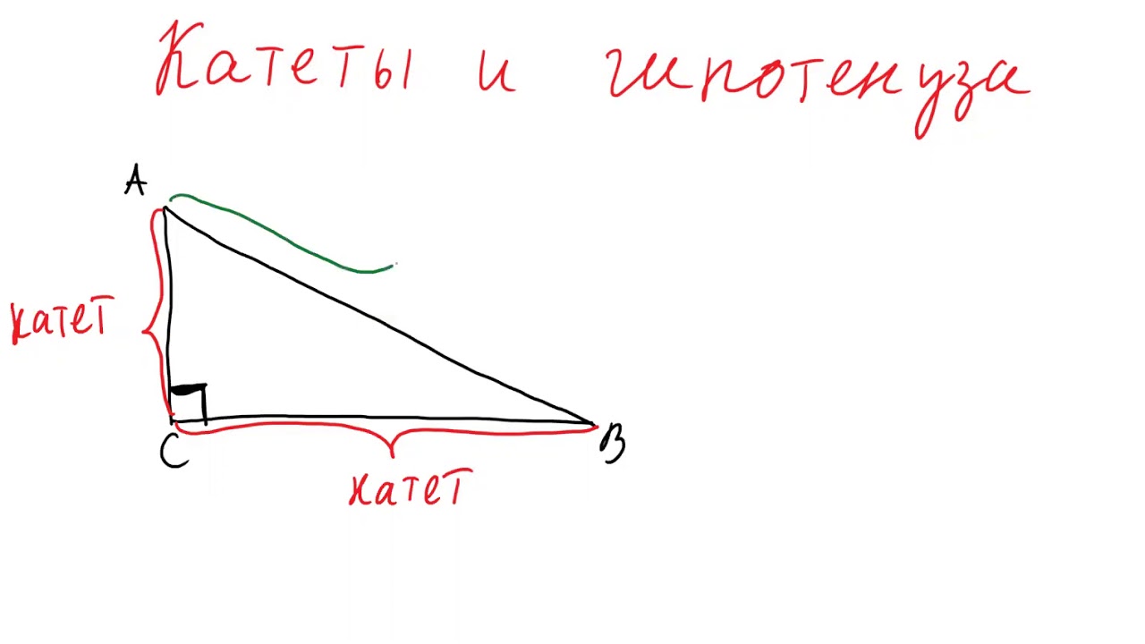 Катеты и гипотенуза
