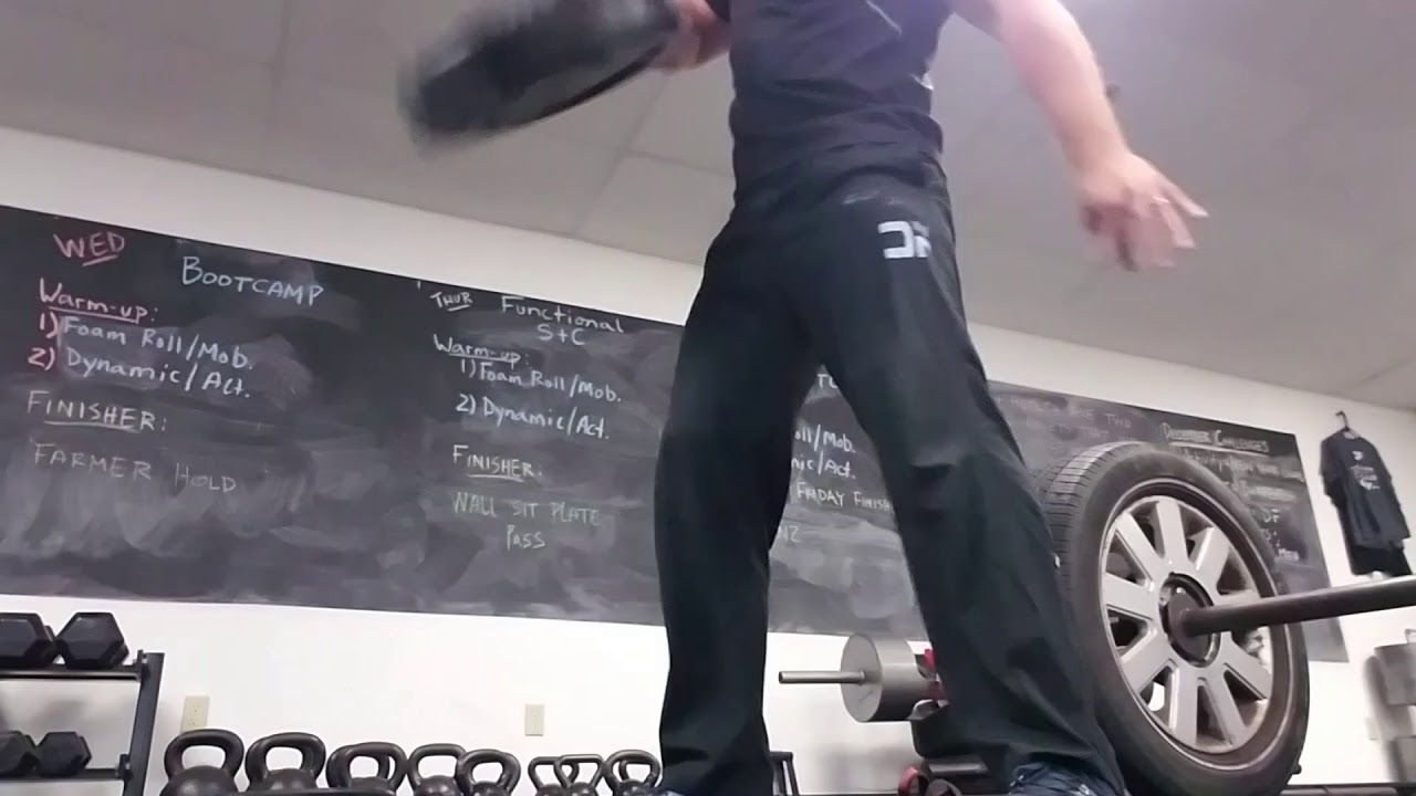 45# Bumper Plate Pinch Grip Flips