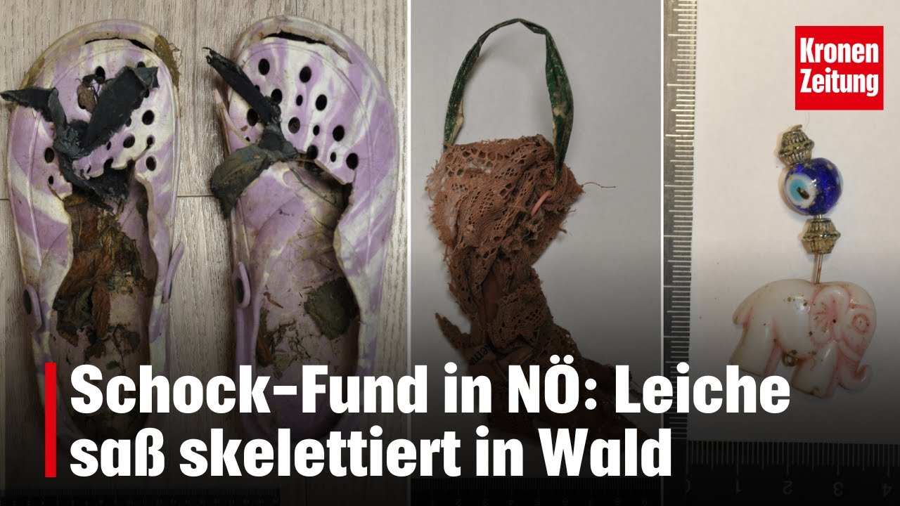 Schock-Fund in N&Ouml;: Leiche sa&szlig; skelettiert in Wald | krone.tv NEWS
