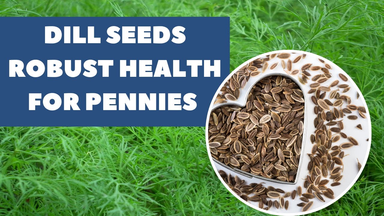 Dill Seeds &ndash; The Secret Health Booster in Your Garden