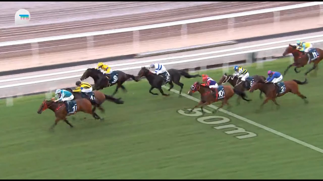 HKJC女皇盃 QEII Cup 一級賽 G1 2000m 2024-04-28 浪漫勇士 ROMANTIC WARRIOR 沙田馬場 Shatin Racecourse