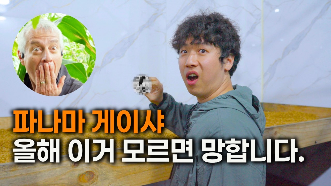 파나마 게이샤의 진실... 진짜 솔직히 말합니다.