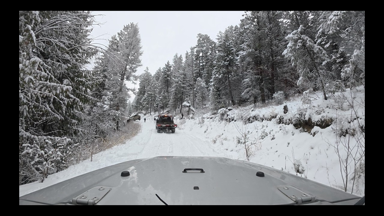 What Reeeally Happened On Our Crazy Rescue Day?