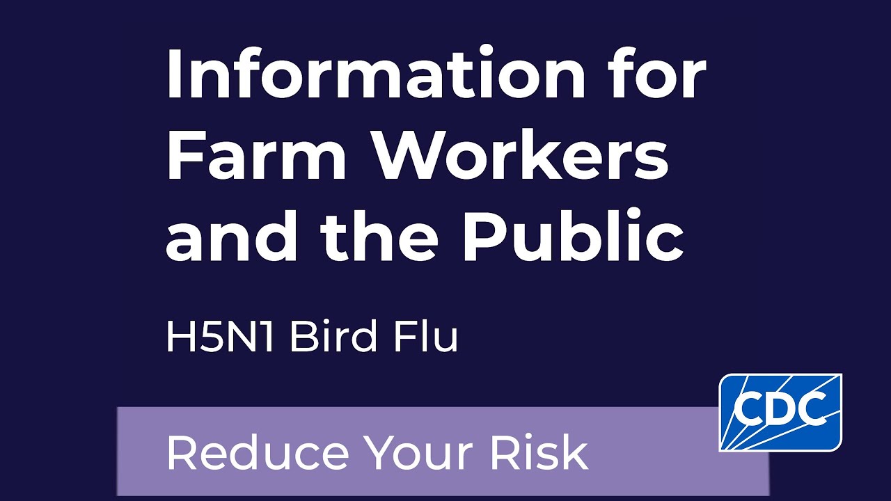 H5N1: Reducing Your Risk