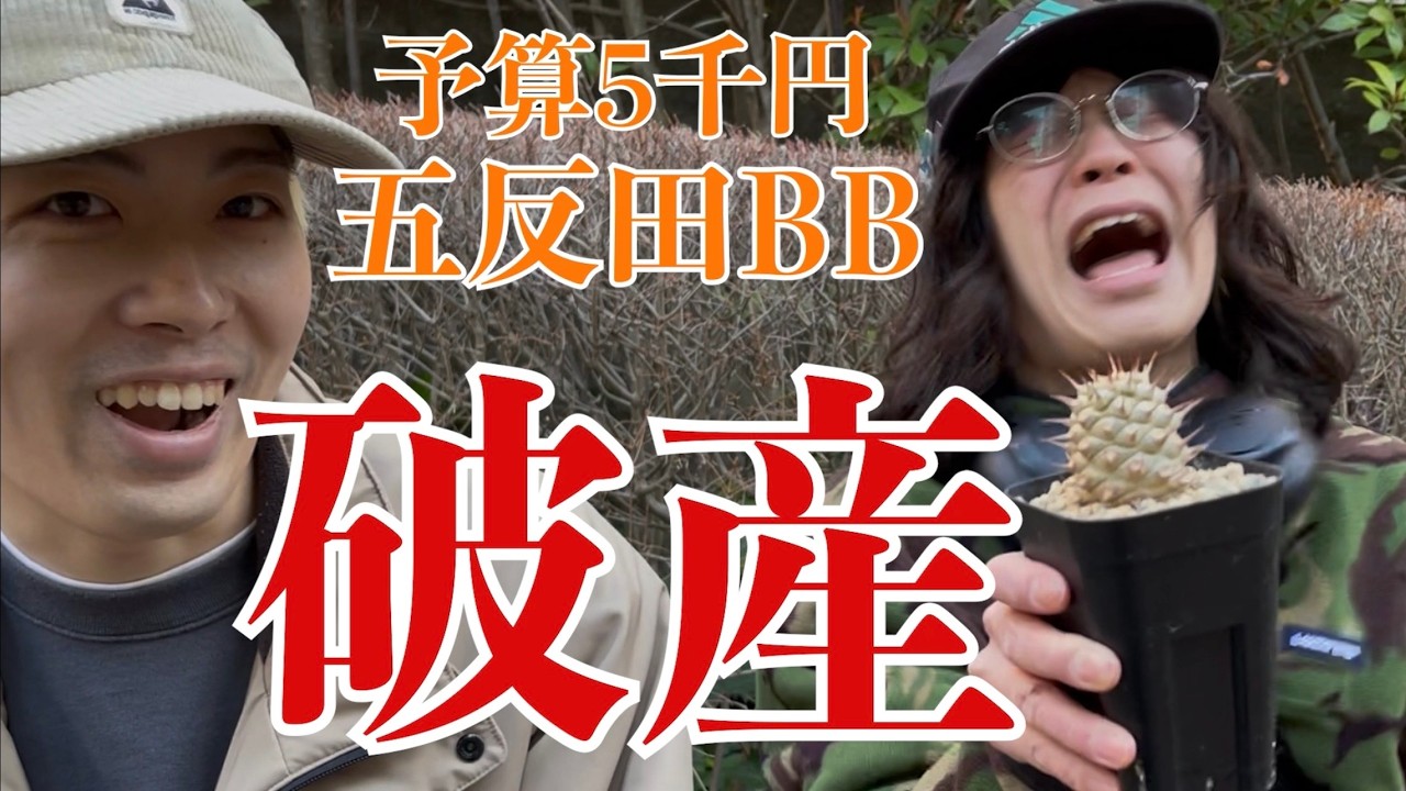 【購入品紹介】予算5000円で植物イベントに行ったら破産しました【五反田BB】