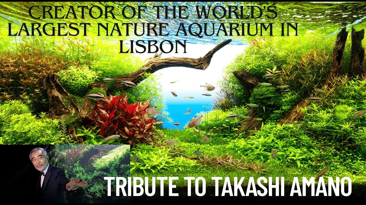 Inside the World’s Largest Nature Aquarium