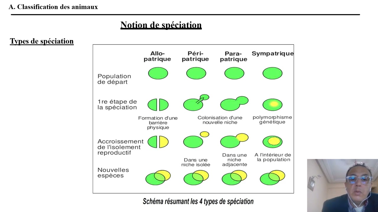 Capsule Systématique Animale TCNBG