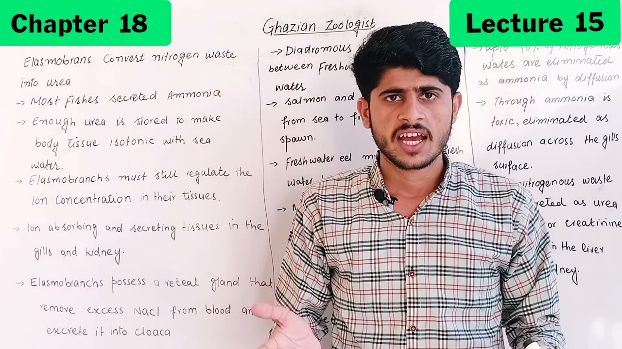 Excretion and Osmoregulatiom in fishes part 2|in Urdu and Hindi|Chapter 18