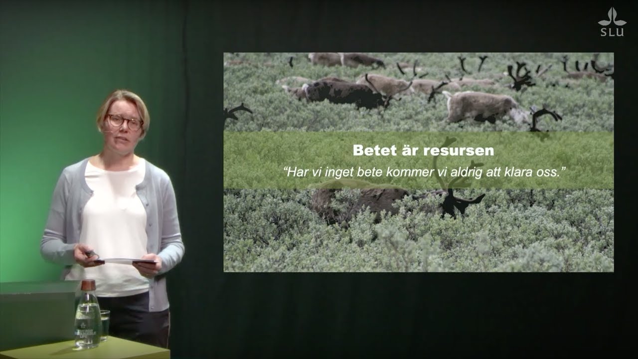 Anna Skarin: 